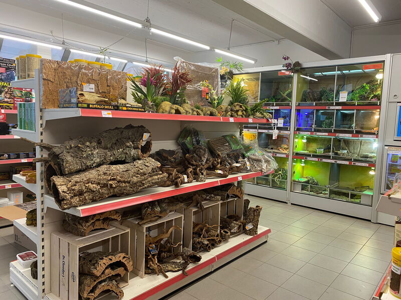 Alles für Tiere - Filiale Helmstedt Terraristik