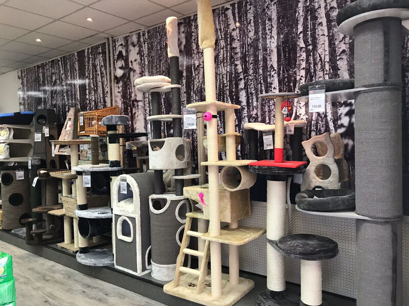 Alles für Tiere - Filiale Braunschweig Kratzbäume